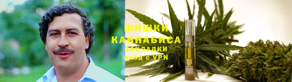 соль ск Алексин