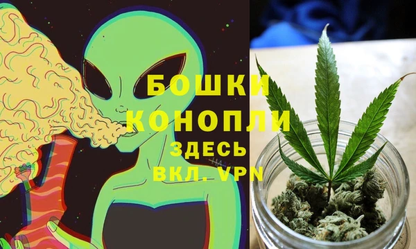 гидра Алексеевка
